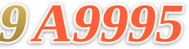 9a9995